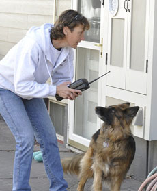 meter-reader-dog_000