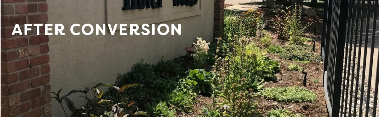 Water wise garden is seen in front of the Hover Woods neighborhood entry sign