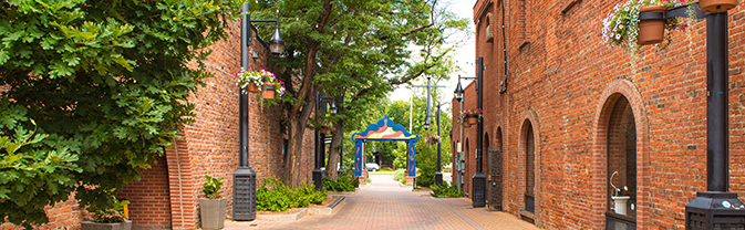 A tree-lined brick walkway in Longmont