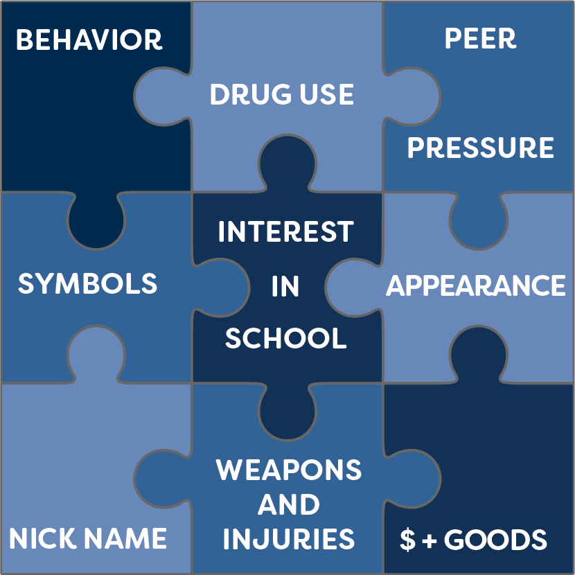 A jigsaw puzzle has a word or phrase on each of its 9 piece: behavior, drug use, peer pressure, symbols, interest in school, appearance, nickname, weapons and injuries, and $+goods.