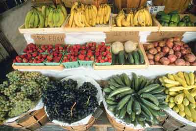 farmer-market-crop