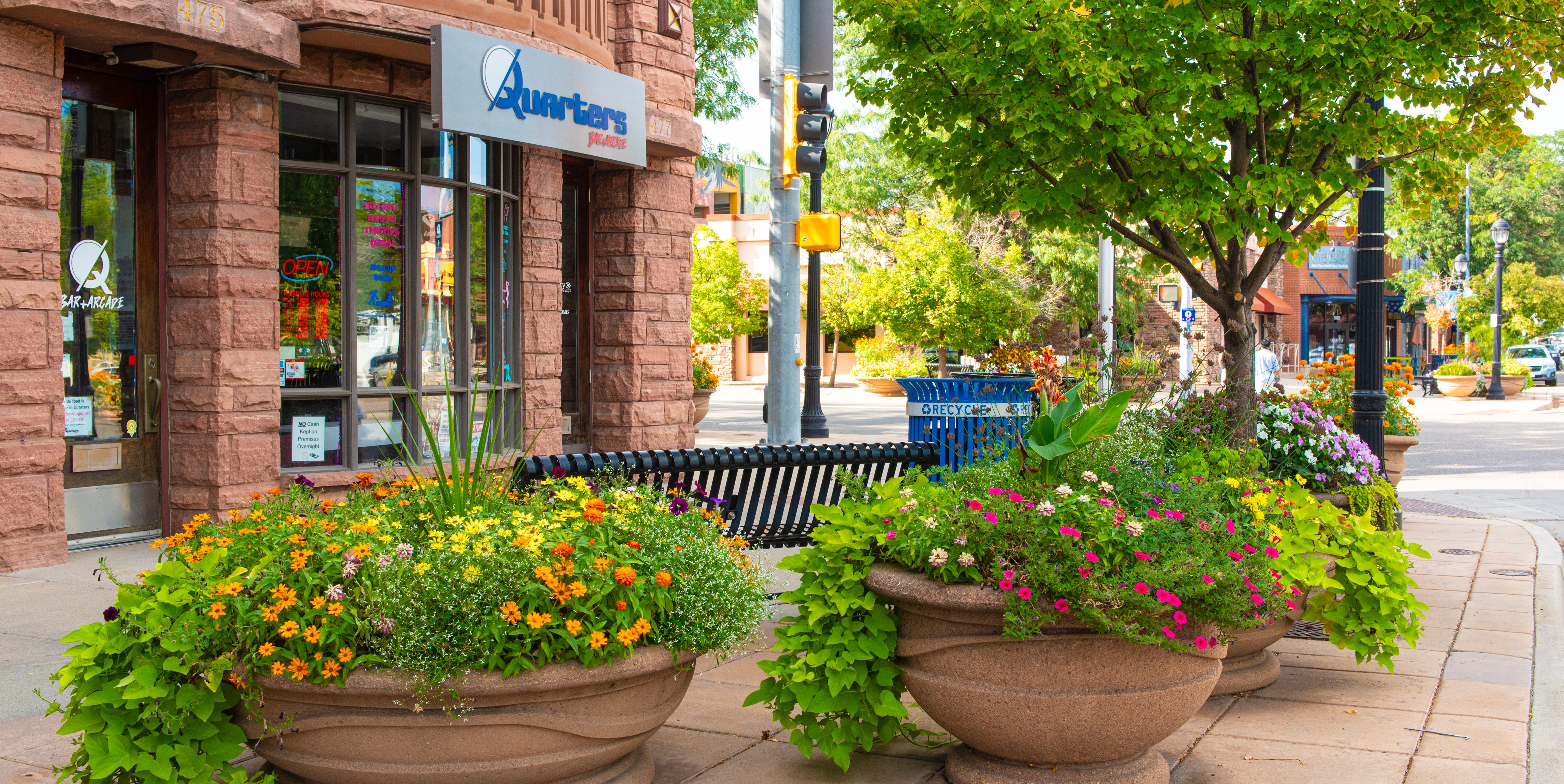 Corner of Main St with greenery and trees lining the sidewalk